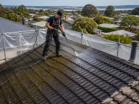 Detailed roof cleaning