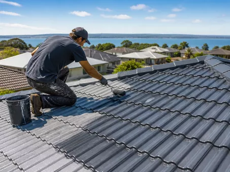 Roof Painting